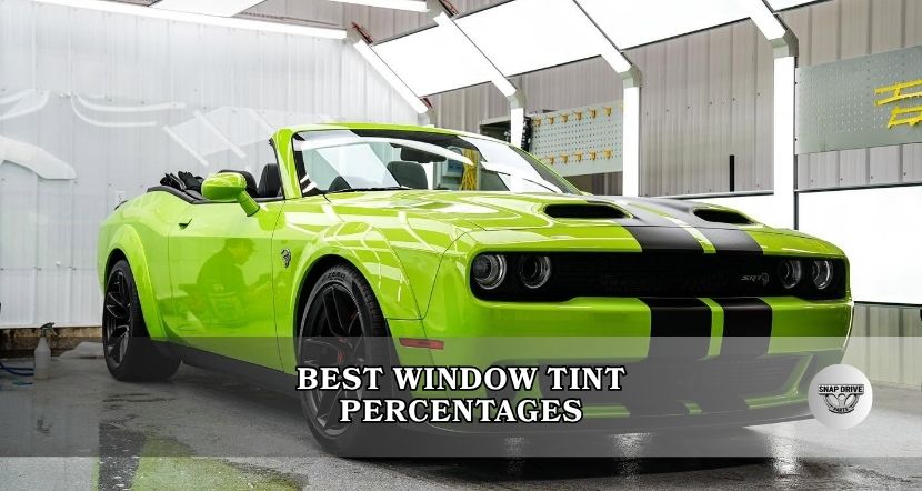 best window tint percentages