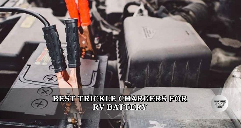 best trickle chargers for rv battery