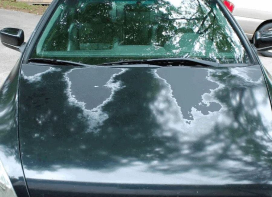 how to keep your car interior looking new longer