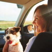 How Sun Exposure Affects Car Interior Quality