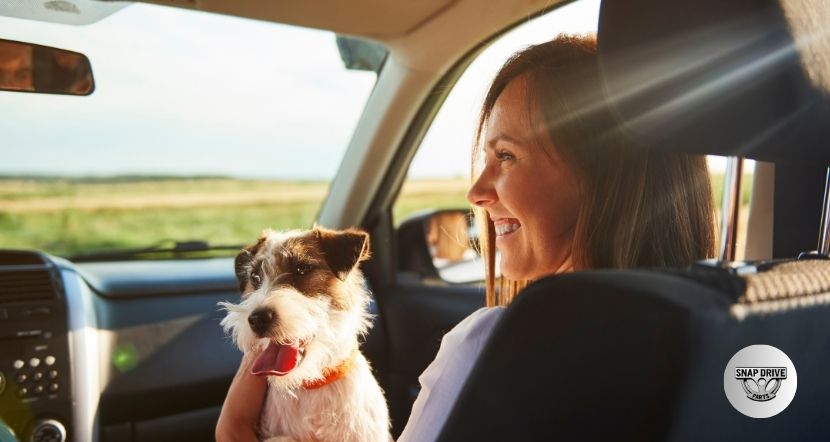 How Sun Exposure Affects Car Interior Quality